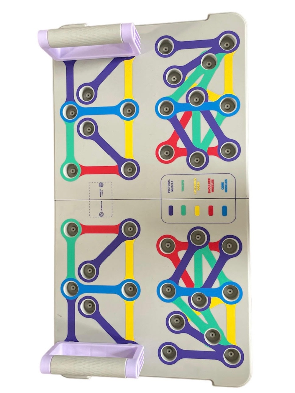 Interactive Muscle Mapping Puzzle Mat - Multicolor